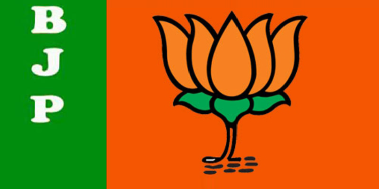 What will Happen If BJP Losses 2019 Elections? – Know the Truth