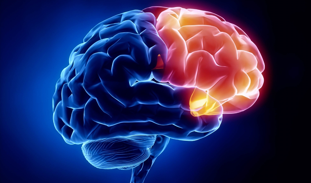How Epilepsy is related to Traumatic Brain Injuries