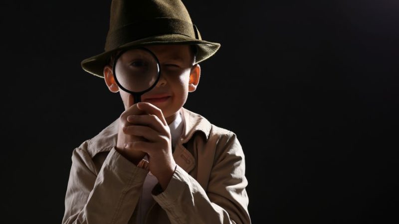 Top 10 Detective agency in Chandigarh List 2023 Updated