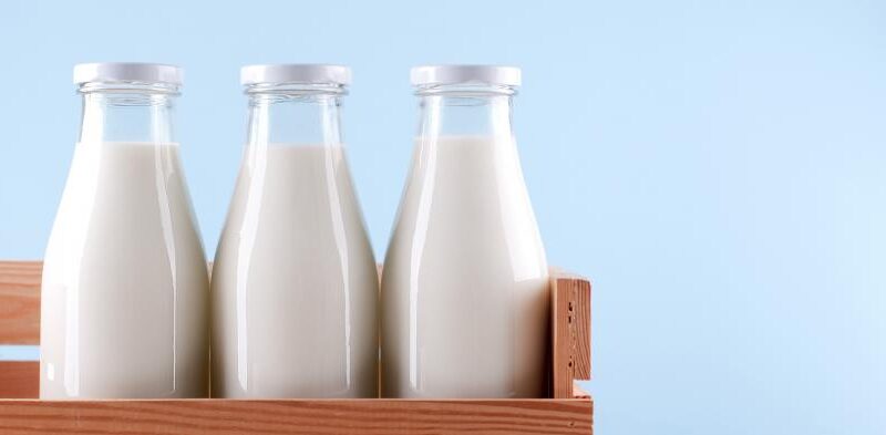 Milk companies in Kerala