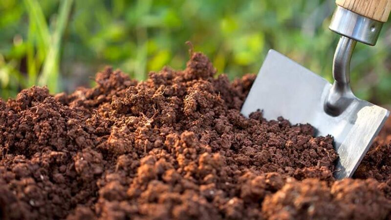 Fertilizer Companies in Maharashtra List Ranking 2023 Updated