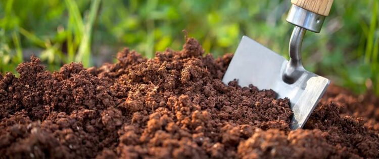 Fertilizer Companies in Maharashtra List Ranking 2021 Updated