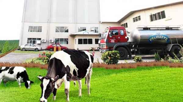 Top Dairy companies in Sri Lanka List 2022 Updated
