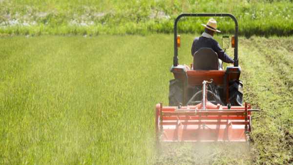 Top Fertilizer companies in Sri Lanka List 2023 Updated