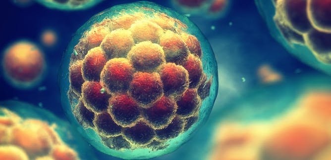 How Stem Cells used in Treatment of Cancer