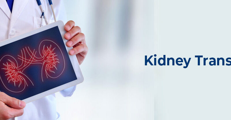 How many Kidney Transplant can a Person have 2023 Updated