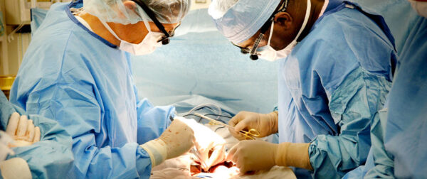 How much does a kidney transplant cost in India