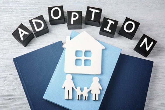 Adoption Agencies in Colorado