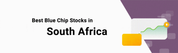 Top 10 Blue Chip Companies in South Africa 2024 -Ranking
