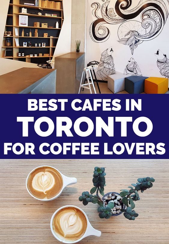 Best Coffee Shops in Toronto