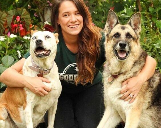 Dog Training ST Louis