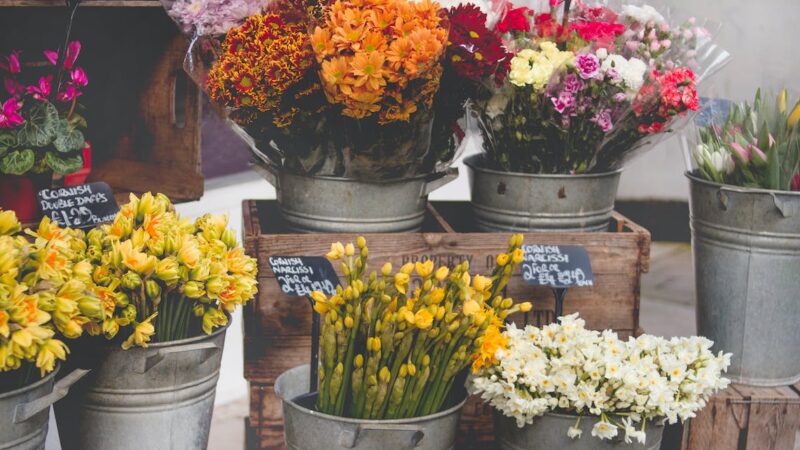 Flower Shops in Gillette WY