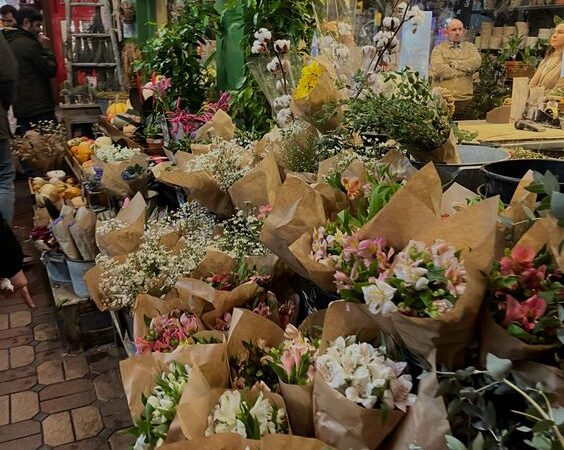 Flower Shops in Grand Junction Co