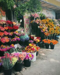 Flower Shops in the Bronx