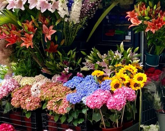 Flower shops in Fresno Ca
