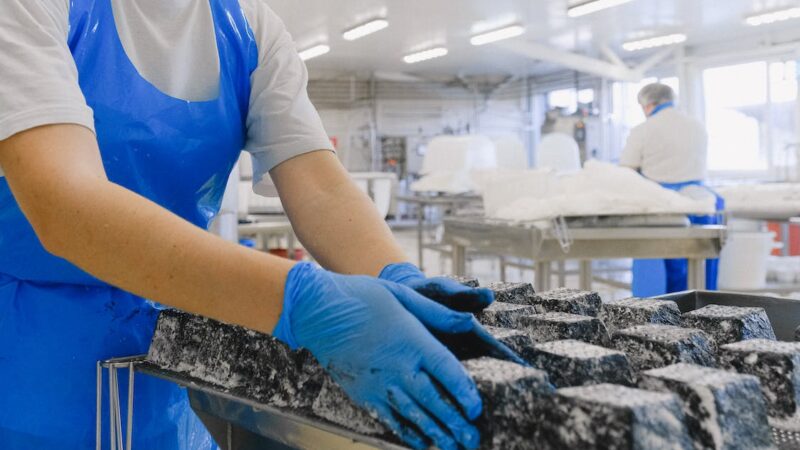 Food Manufacturing Companies in Penang