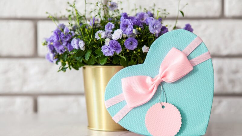 Gift Box Manufacturers in Mumbai