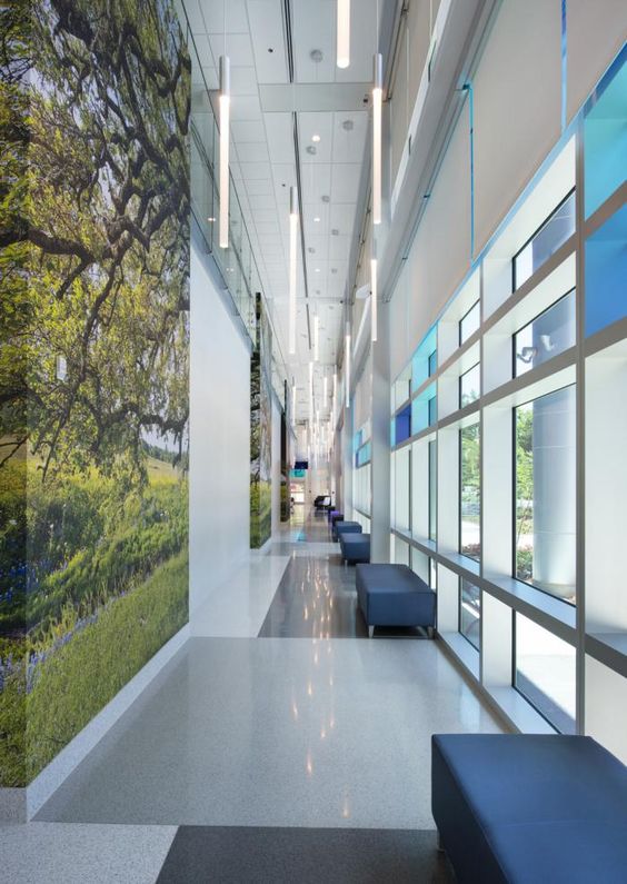 Top 10 Hospitals in Tallahassee FL – Check Prices, Reviews & Updates