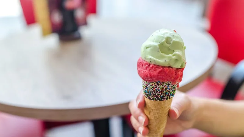 Ice Cream Manufacturers in Mumbai