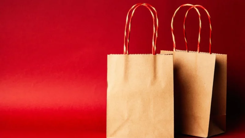 Paper Bag Manufacturers in Kerala
