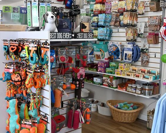 Pet Stores in Visalia