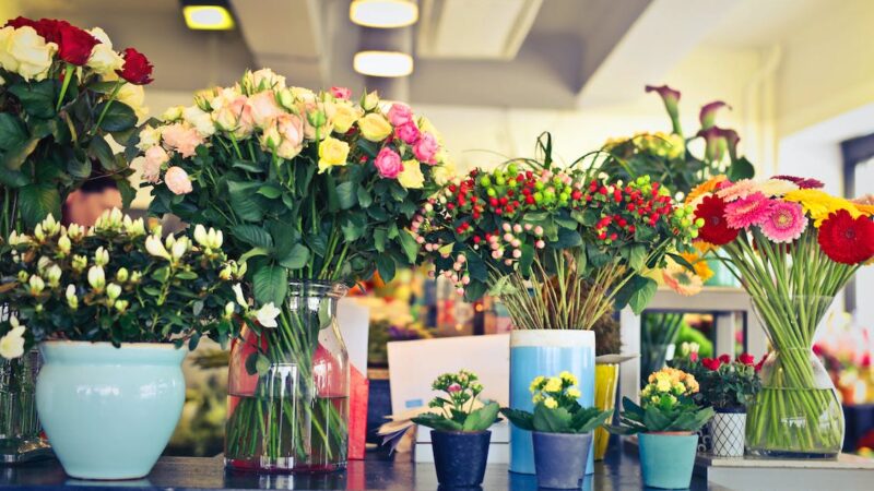Plastic Flower Pots Manufacturers in Kerala