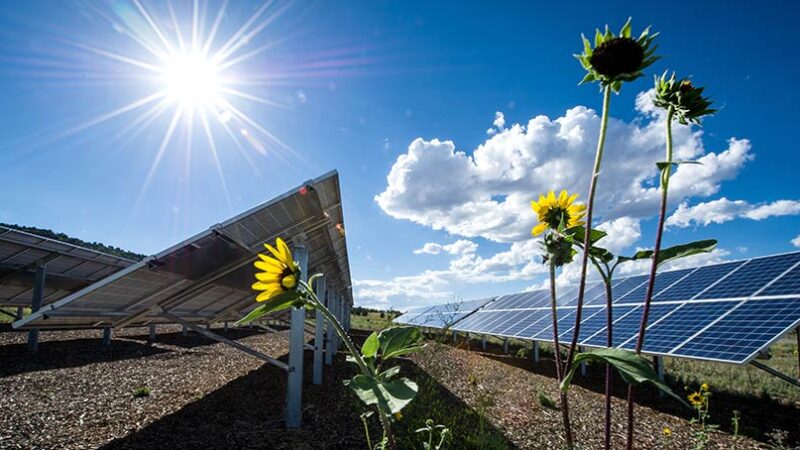 Solar Companies in Trivandrum