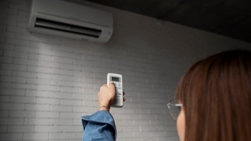 Top 10 Air Conditioner Companies in India