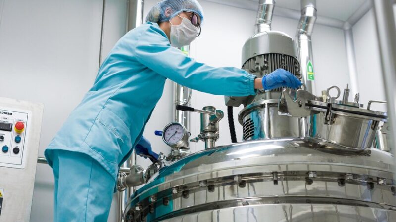 Top 10 Food Processing Companies in India