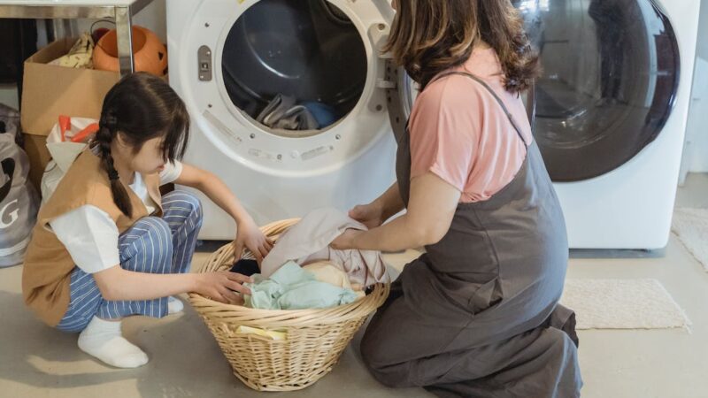 Top 10 Washing Machine Companies in India