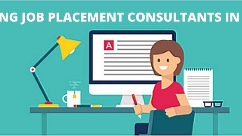 top 10 job consultancy in Rohtak