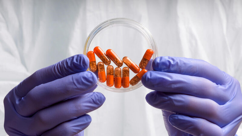 Top 10 Empty capsules manufacturers in India