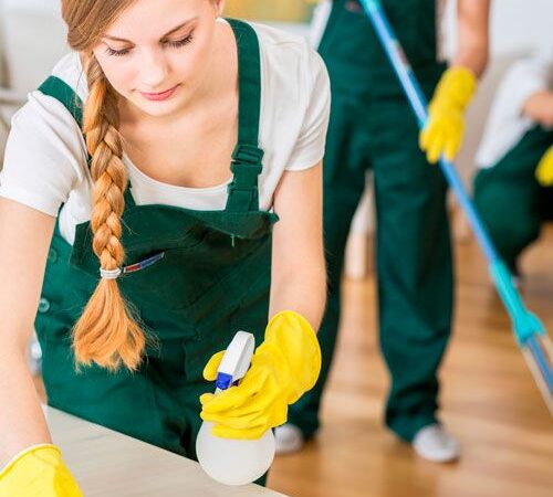 cleaning services wellington