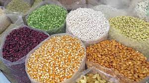 Top 10 Seeds manufacturers in india