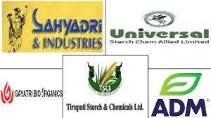 Top 10 Starch manufacturers in India