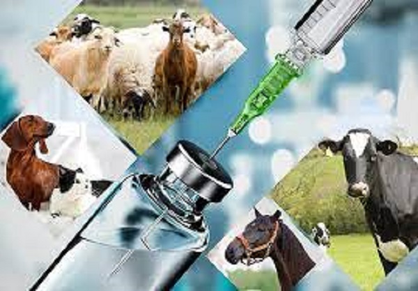 Top 10 Herbal Veterinary Products Manufacturer in India