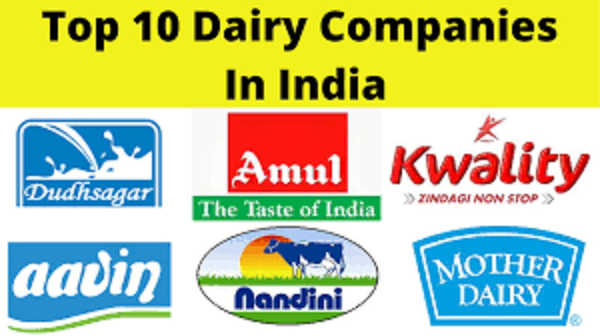 Top 10 Dairy Industry in India