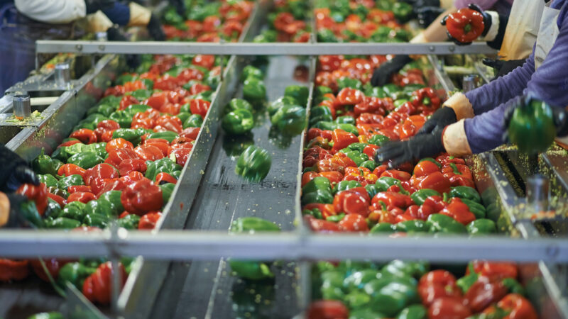 Top 10 Food processing industry in India