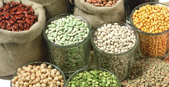 Top 10 Pulses Manufacturers in India