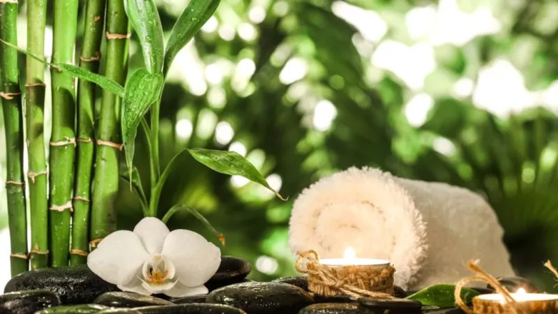 Top 10 Massage Parlour in Leicester