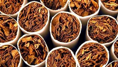 Top 10 Tobacco Companies in India