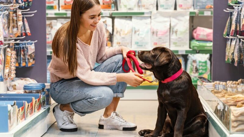 Top 10 Dog Shop in Dubai