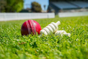 How to Choose Cricket Equipment Brand in India