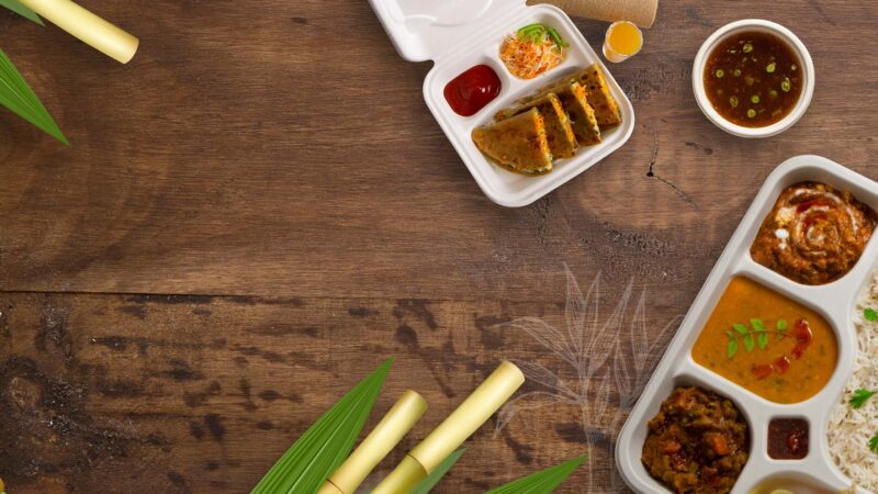 Top 10 Bagasse Products Manufacturers in India