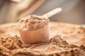 Top 10 Whey Protein Manufacturers in India