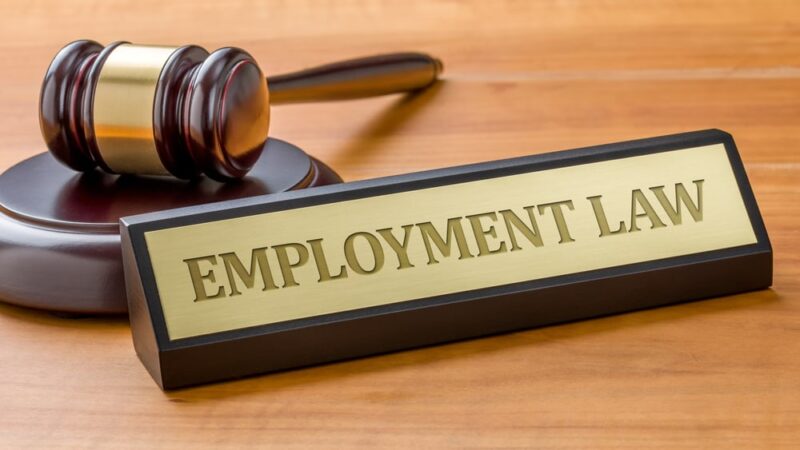 Top 10 Employment Law Solicitors in Bristol