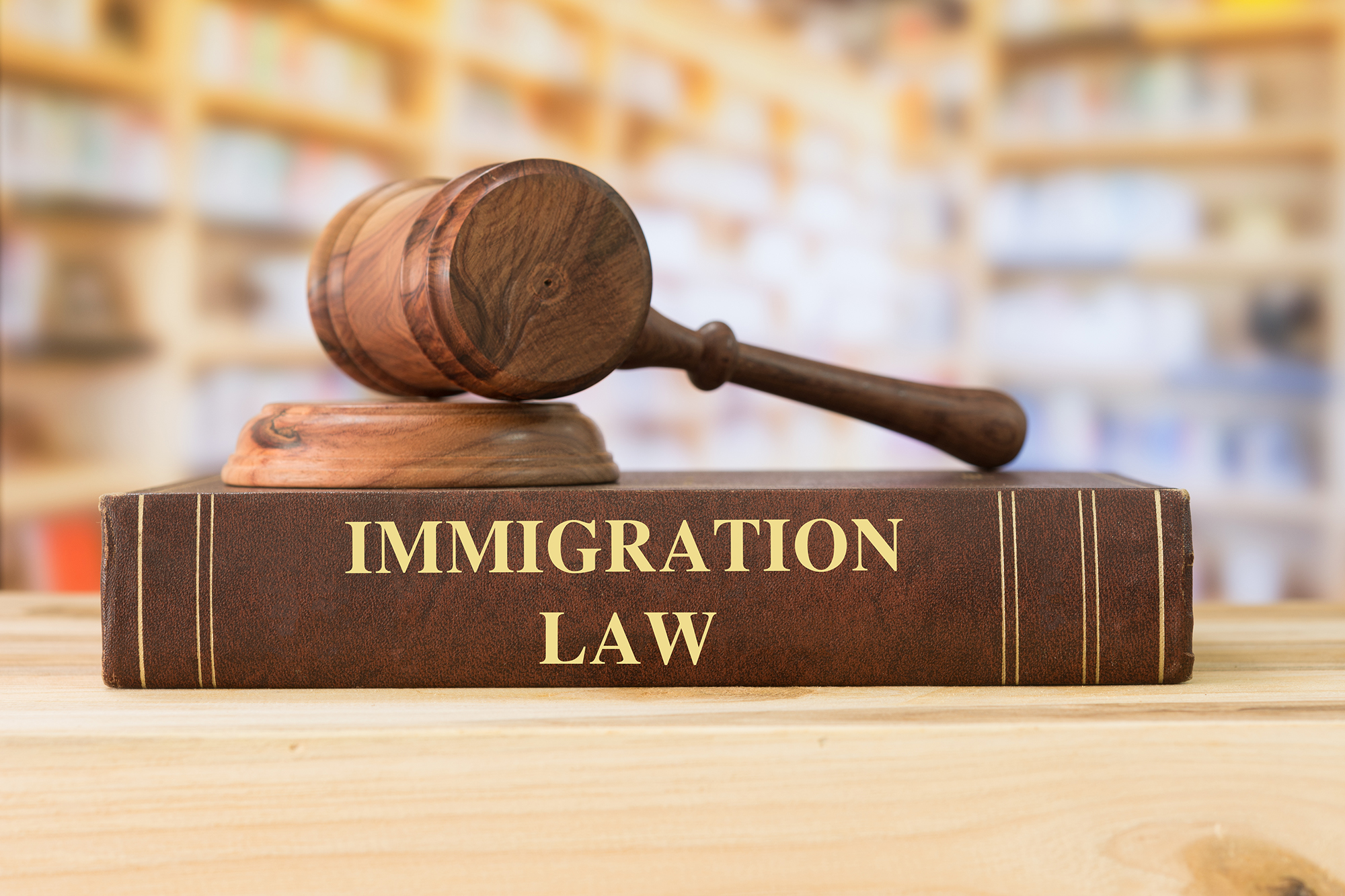 Top 10 Immigration Solicitors in Manchester UK 2024