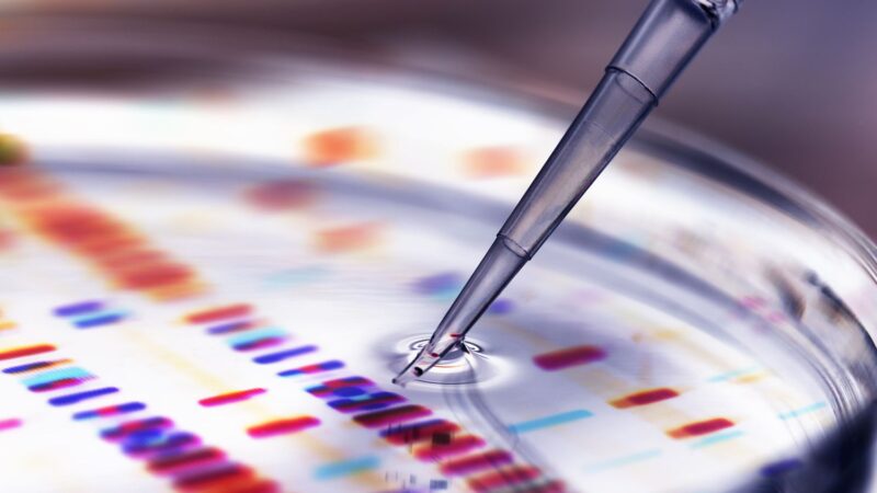 Top 10 Biotech Companies in India