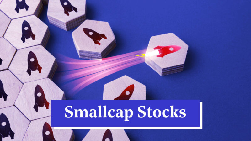 Top 10 Small Cap Companies in India