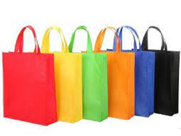 Top 10 Non-Woven Bag Manufacturer in Rajkot
